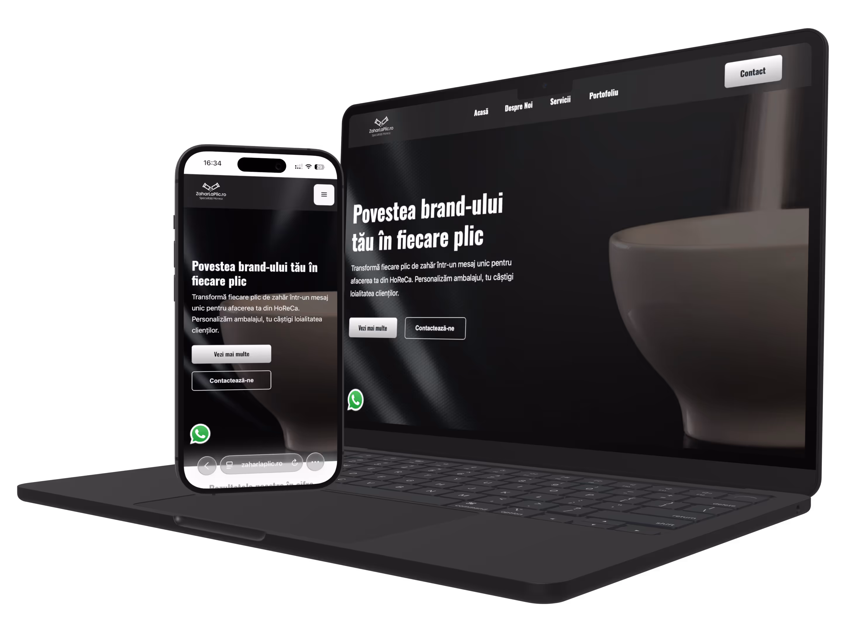 portofoliu web design