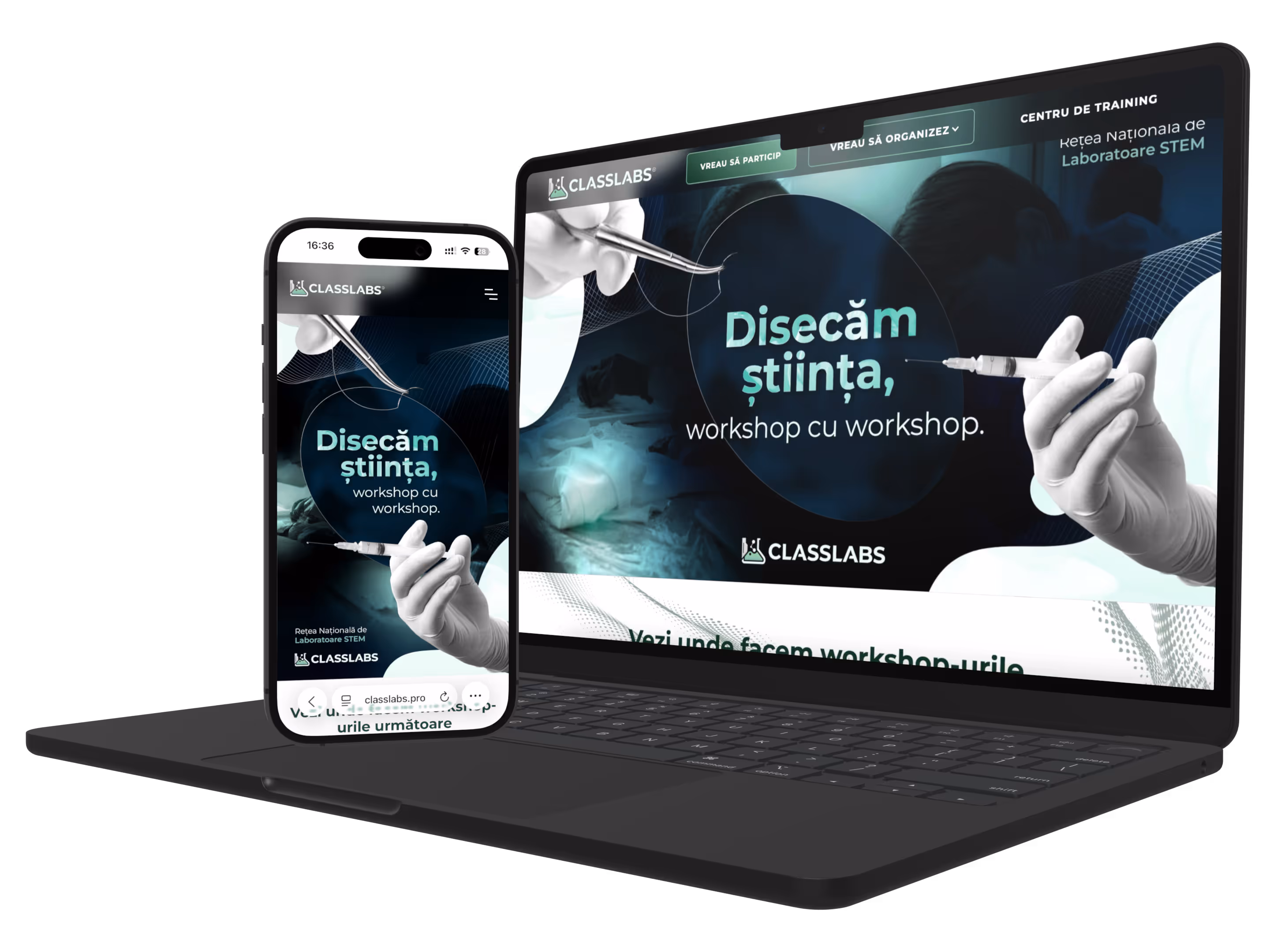 portofoliu web design