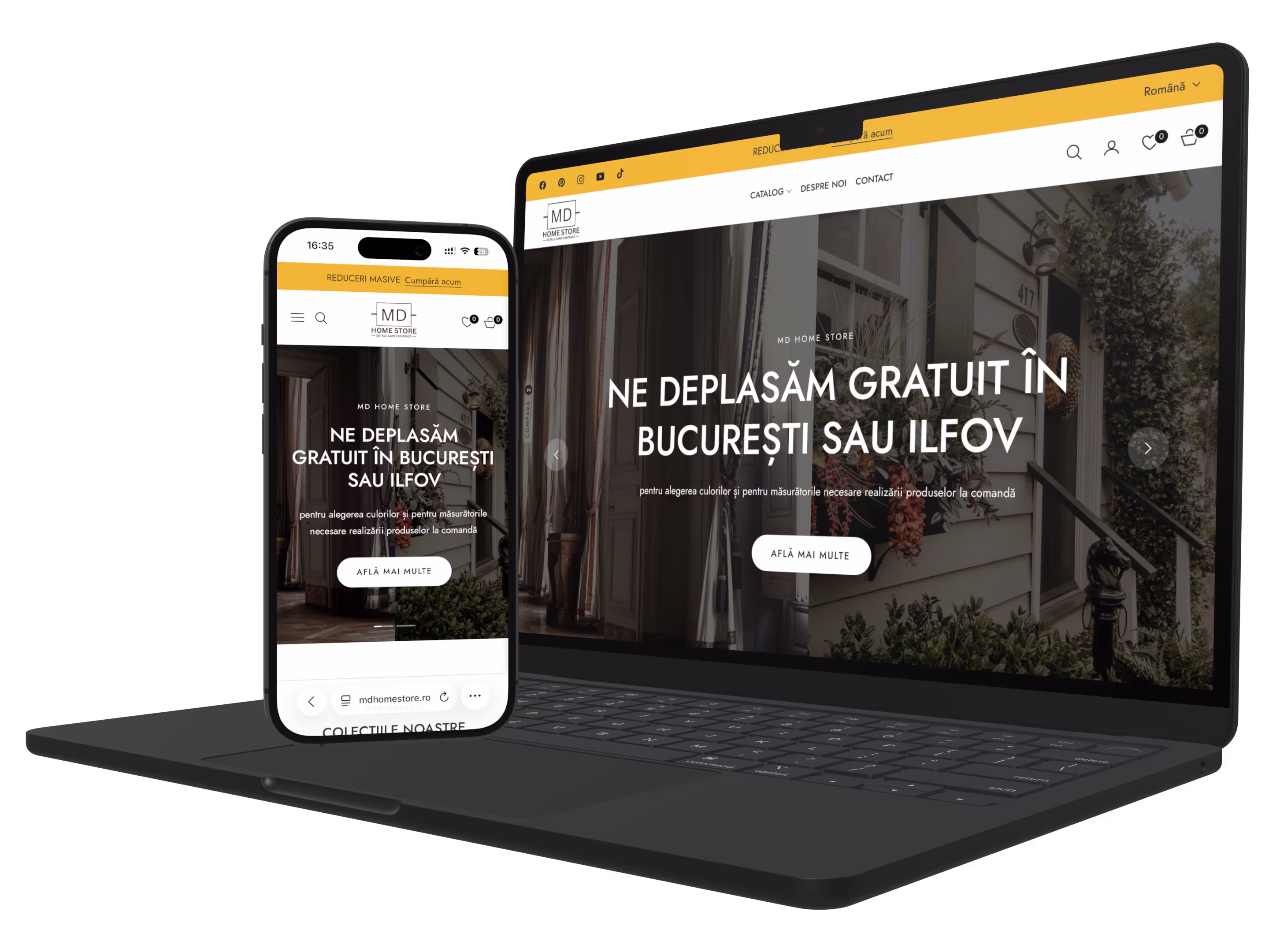 portofoliu web design