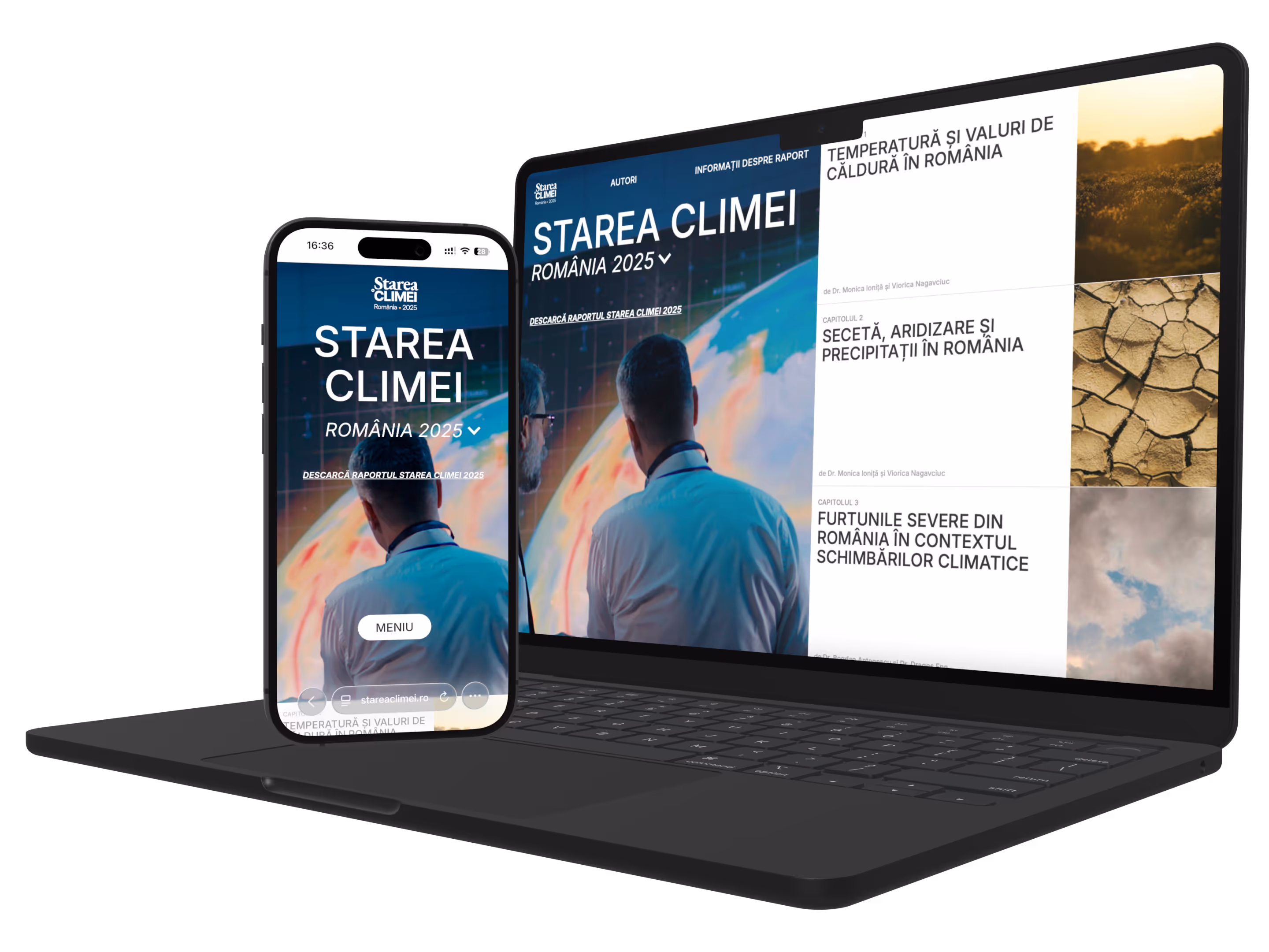 portofoliu web design