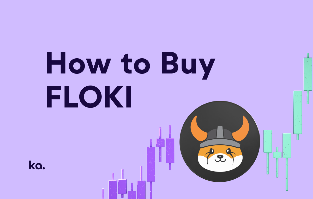 How to Buy FLOKI