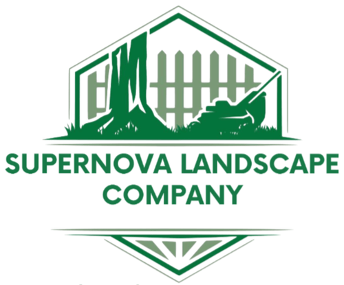Supernova Landscape Logo