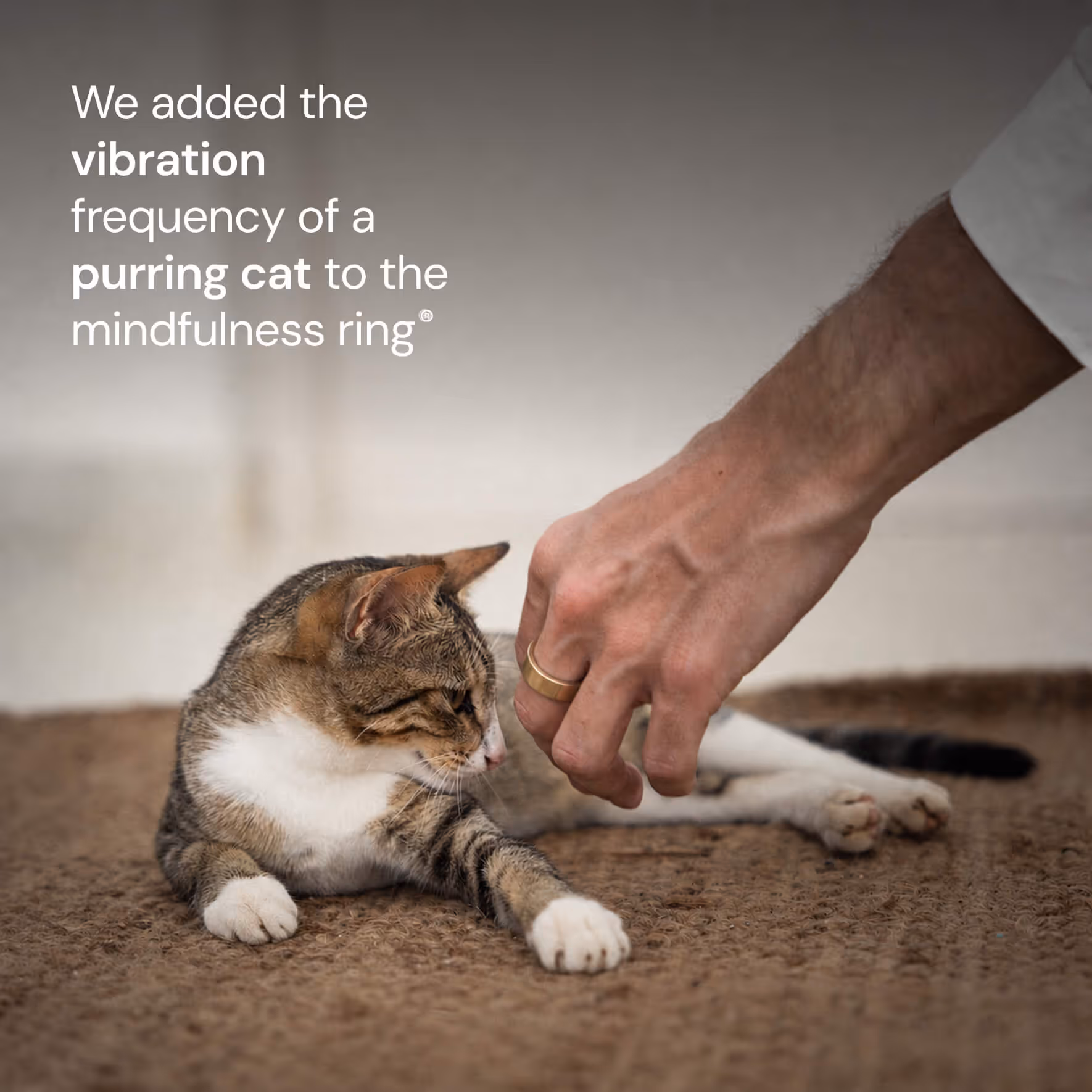 A hand wearing a gold ring reaches toward a tabby cat lying on a brown rug.
