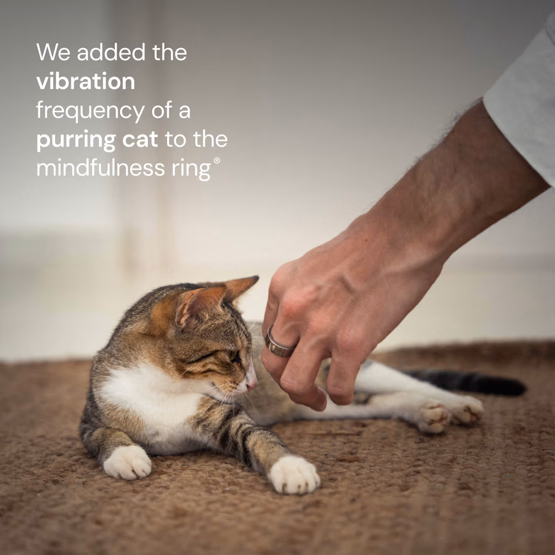 Hand wearing a ring reaching toward a relaxed tabby cat lying on a brown carpet.