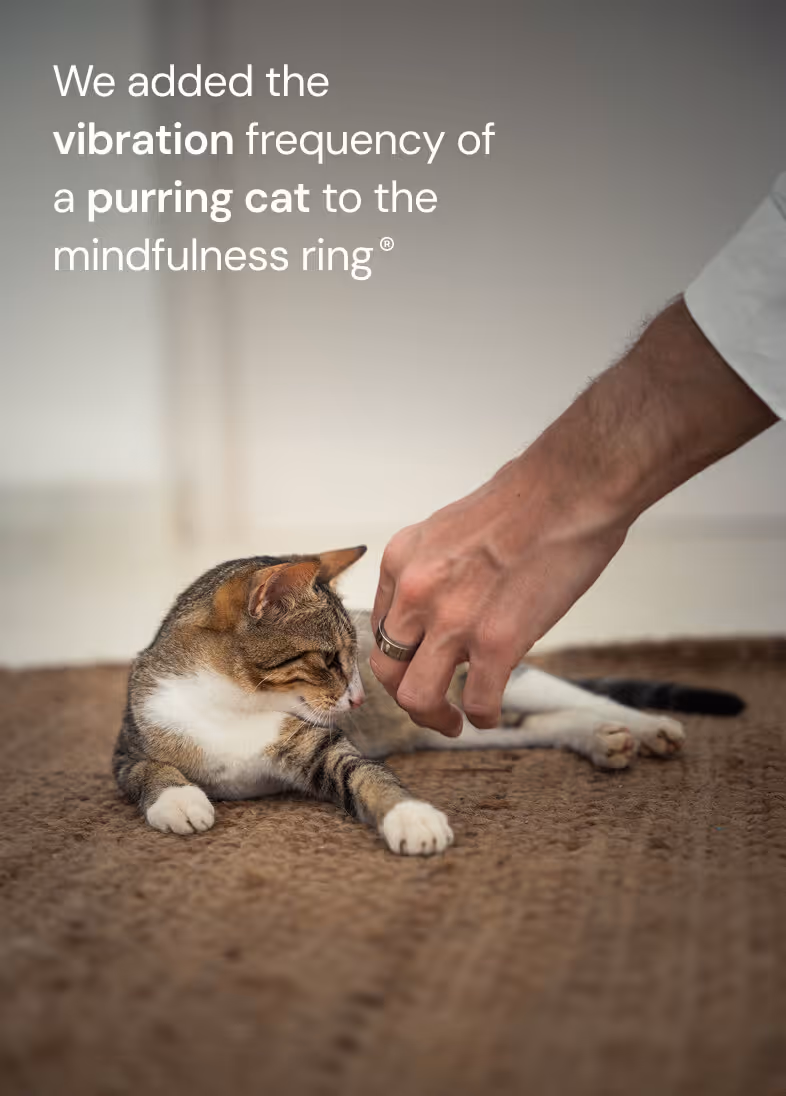 Person wearing a ring reaching hand toward a relaxed tabby cat on a textured brown rug.