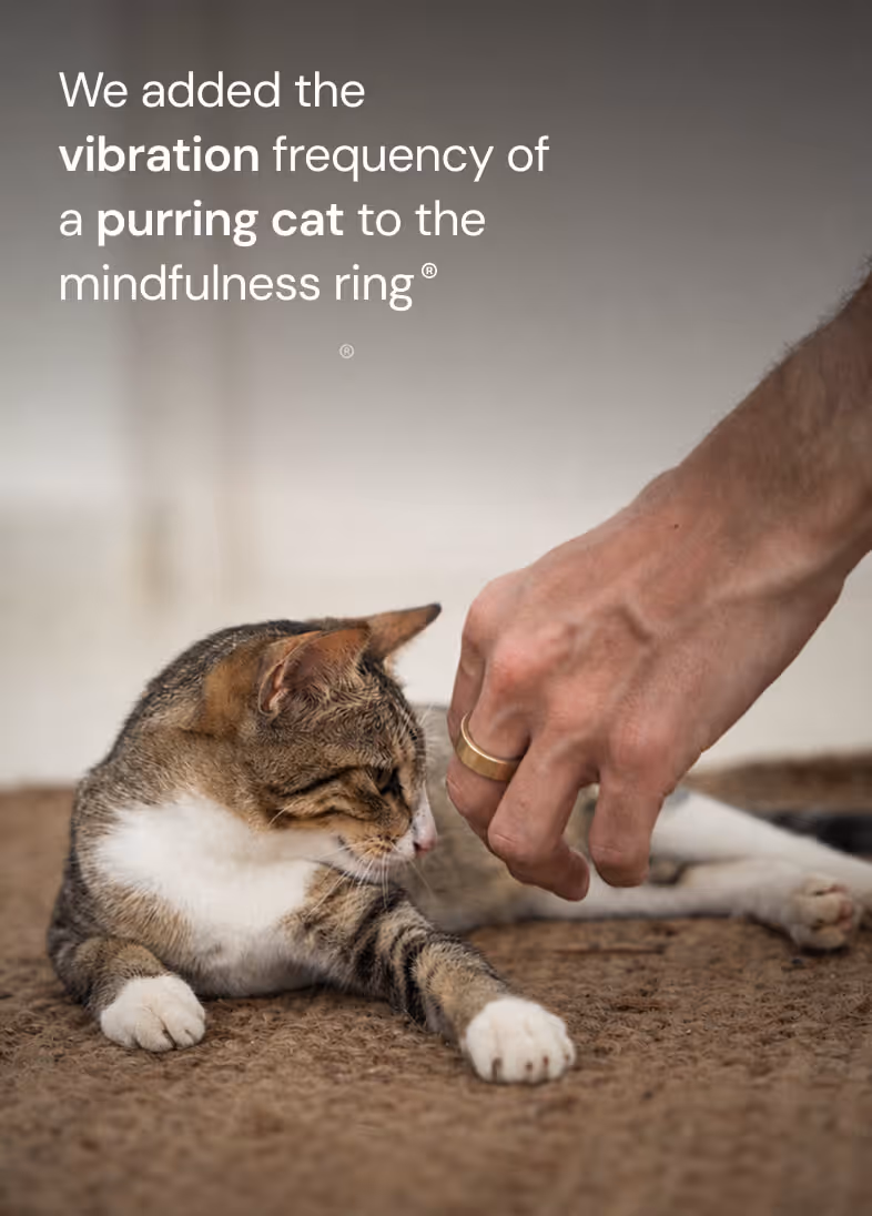 Hand wearing gold mindfulness ring near a relaxed tabby cat lying on a carpet.