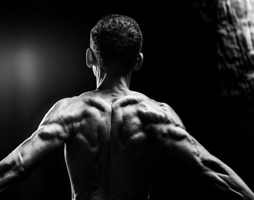 Muscles Omoplate : Anatomie, Rôle et Exercices Musculation