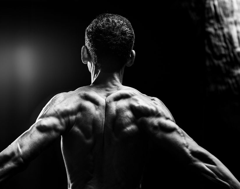 muscles omoplate anatomie du dos en fitness