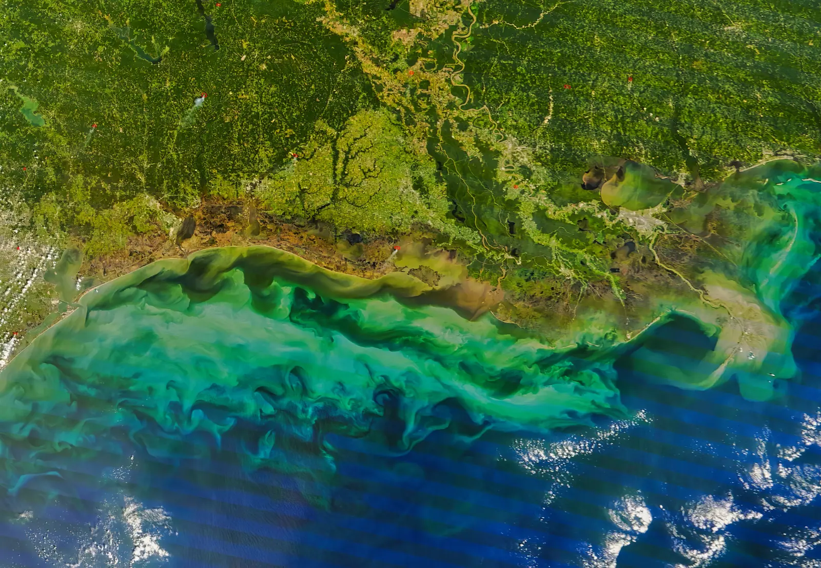 Satellite view of a coastal region with green vegetation, river deltas, and swirling blue and green ocean waters.