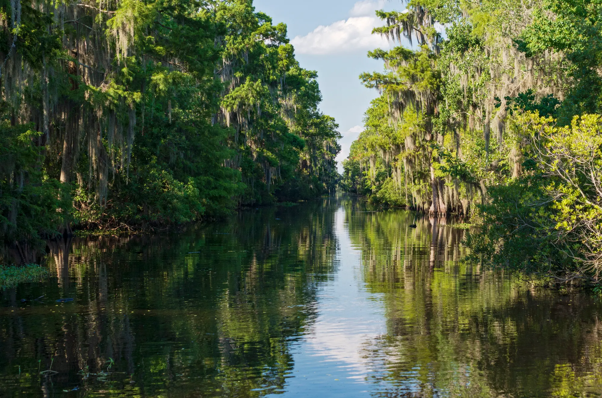Calm waterway flanked by dense green trees with hanging Spanish moss under a partly cloudy sky.