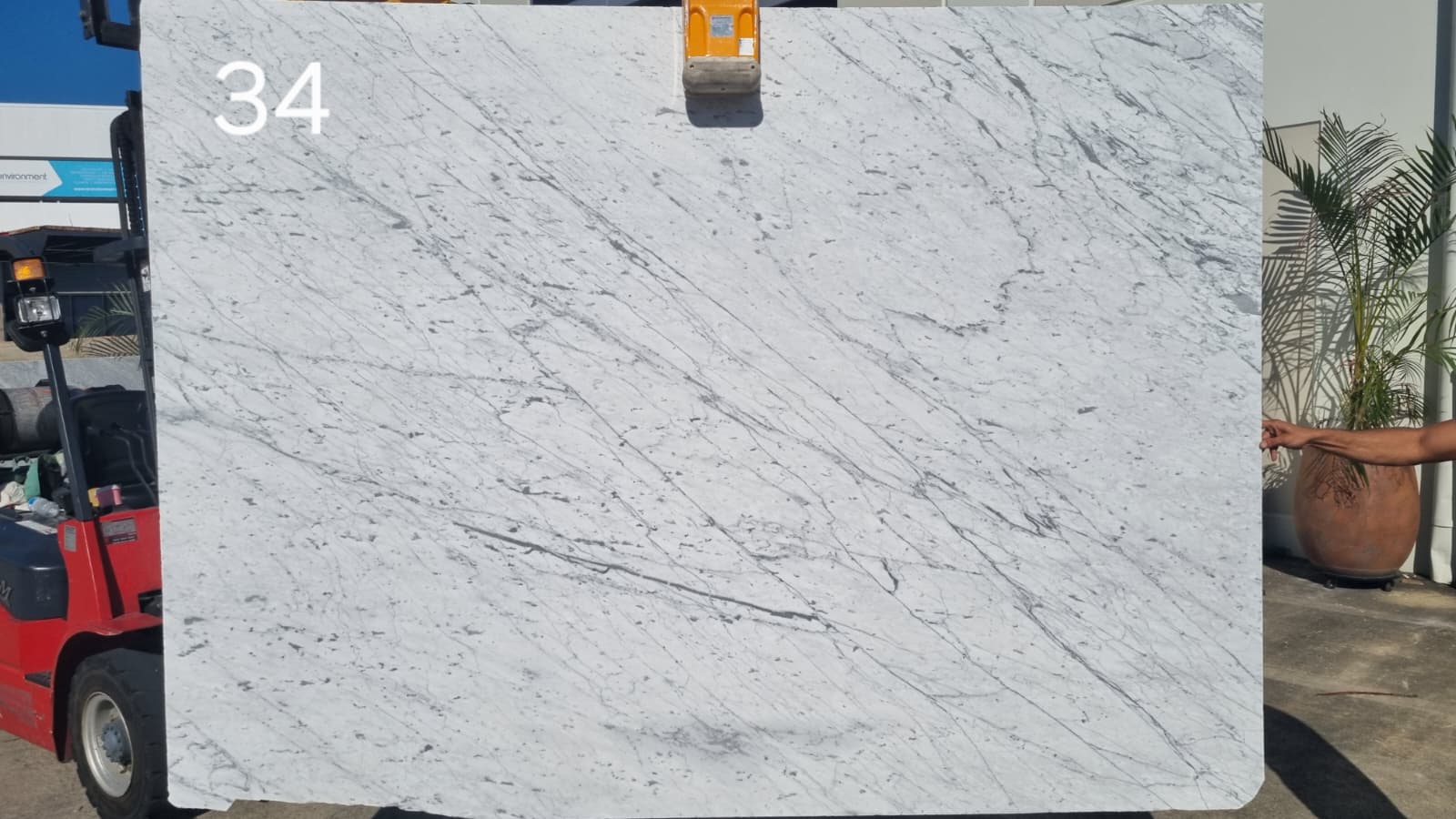 Gioia Marble slab in the Franca Slab Room