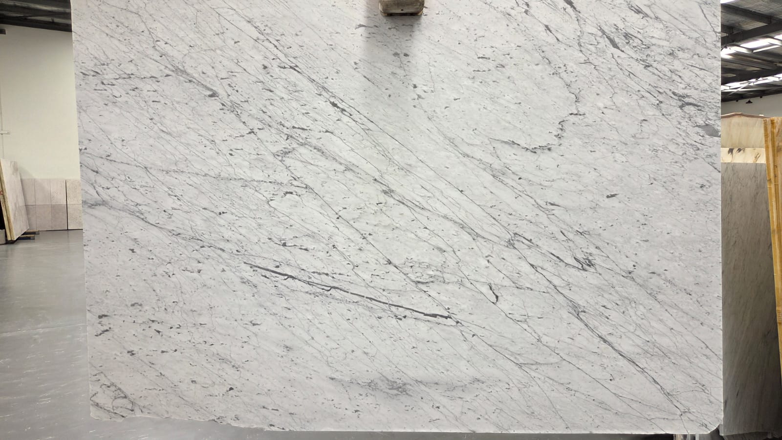 Gioia Marble slab in the Franca Slab Room