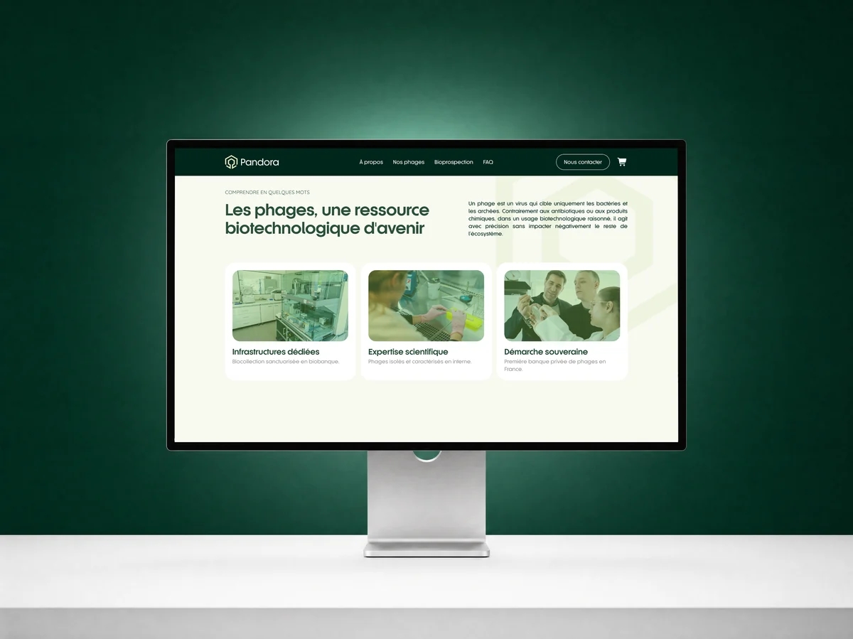 Site web Pandora réalisé par l'agence Apollo à Brest : le site affiché sur un écran d'ordinateur devant un mur vert