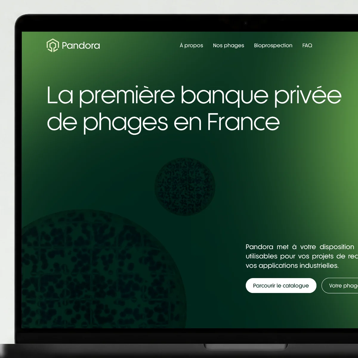 Site web Pandora réalisé par l'agence Apollo à Brest : gros plan sur la page d'accueil