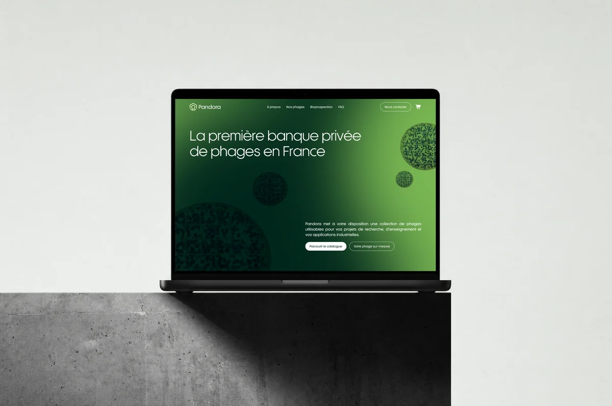 Site web Pandora réalisé par l'agence Apollo à Brest : la page d'accueil sur un MacBook posé sur un bloc de béton