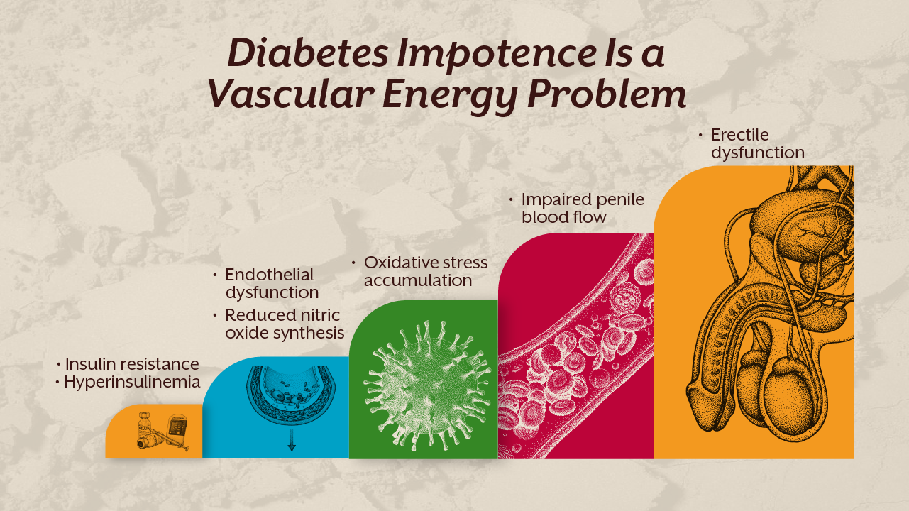 Diabetes Impotence Is a Vascular Energy Problem