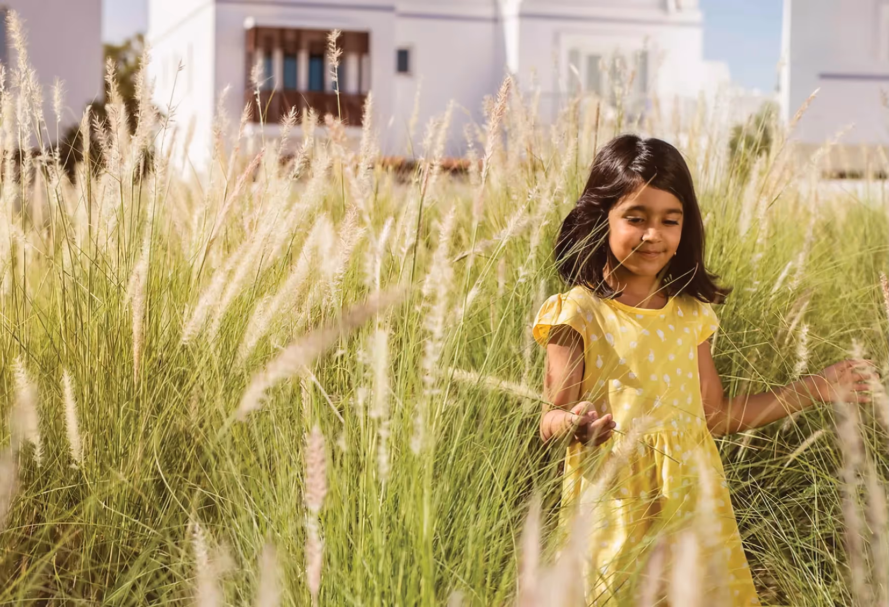 Sustainability Journey Report 2024