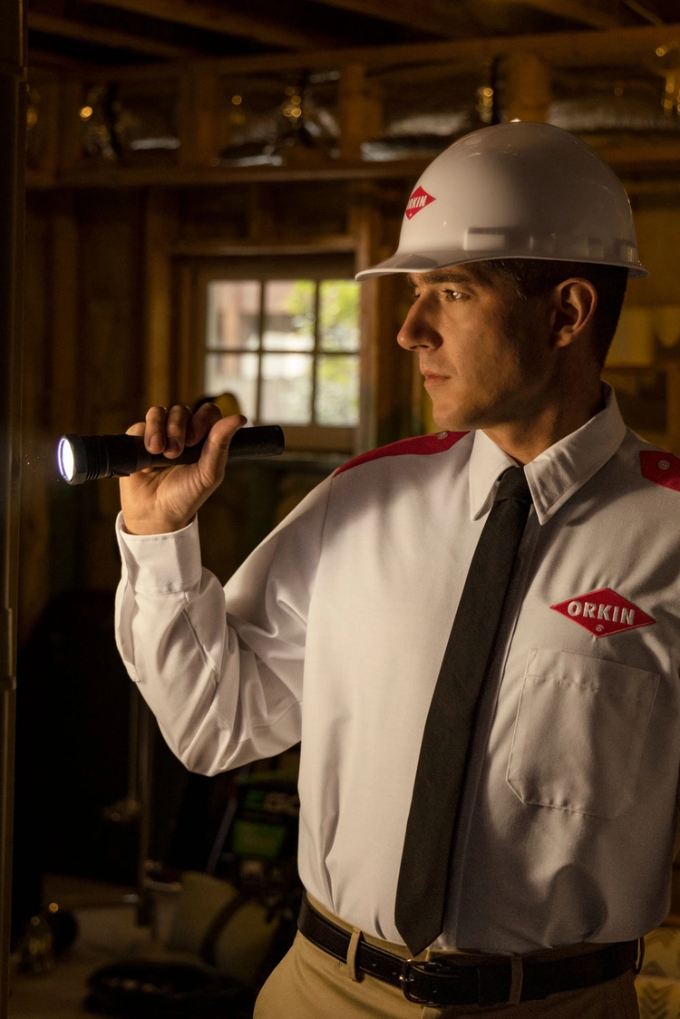 თანამშრომელი