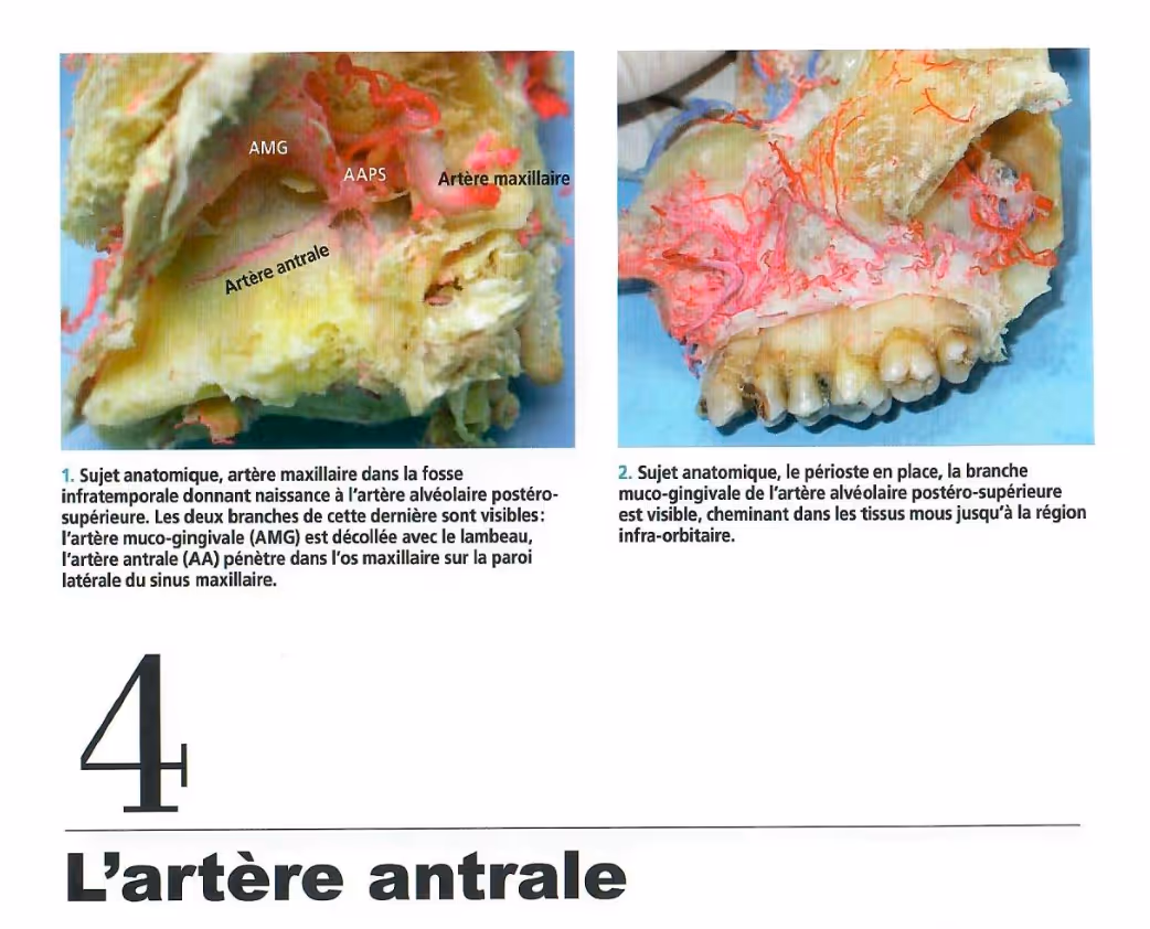 Pubication du Dr. Bahige Tourbah