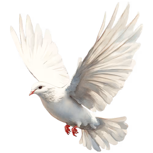 spirit animal dove