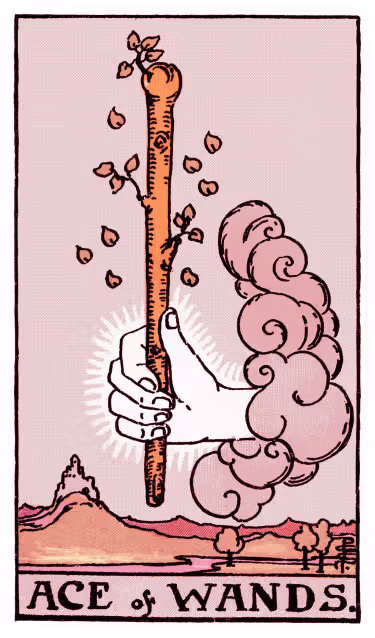 Ace of Wands Tarot Card - Minor Arcana in daily guidance, depicting a divine hand holding flowering wand symbolizing creative beginnings and spiritual inspiration in tarot reading.