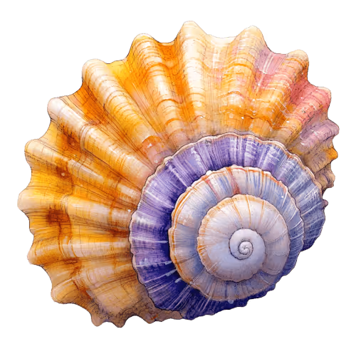 Seashell symbolizing soul whisper message and emotional healing, offering inspiration and guidance through a spiritual reading