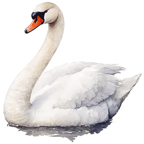 spirit animal swan