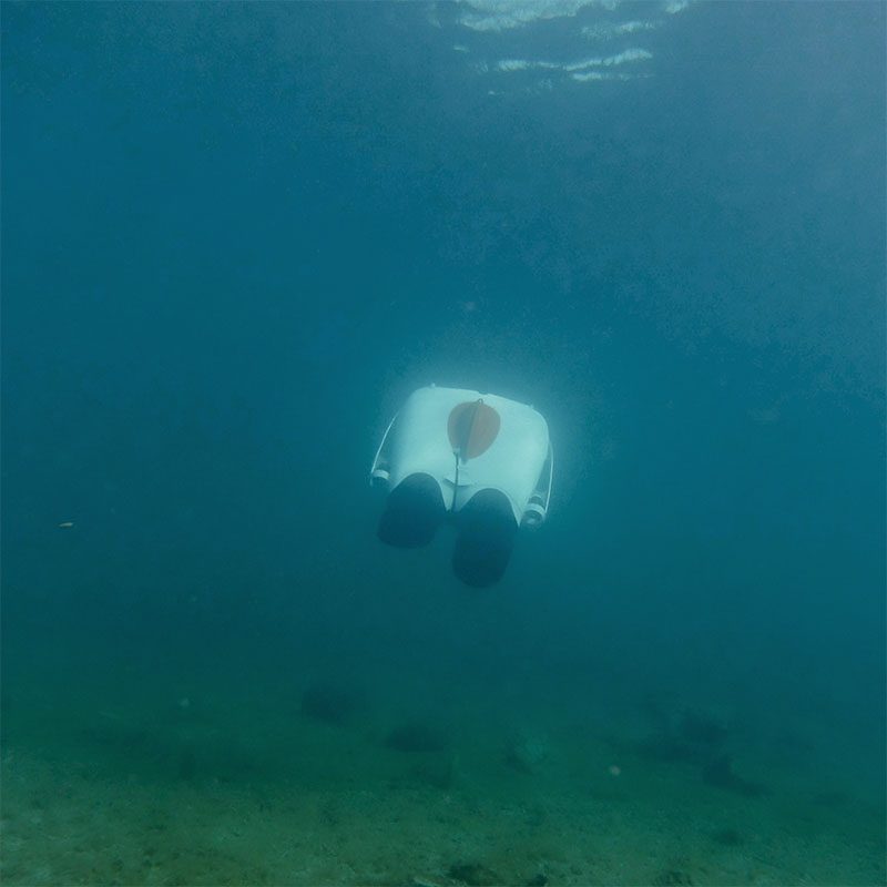 Underwater view of a white autonomous underwater vehicle (AUV) with black fins and an orange sensor or buoy, hovering above the seabed.