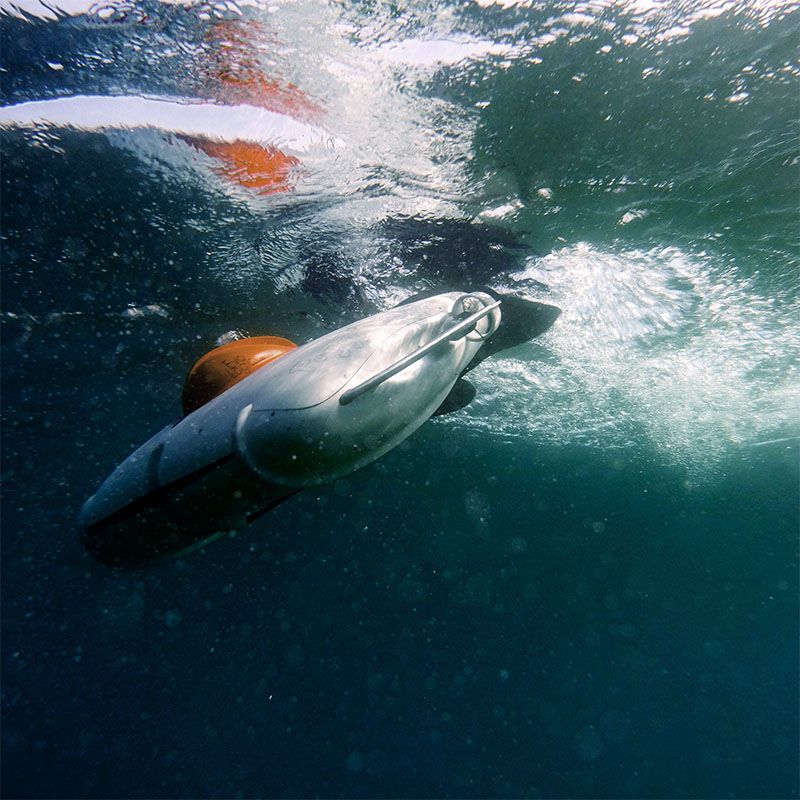 Underwater view of a small orange and gray autonomous underwater vehicle creating bubbles as it moves near the water surface.