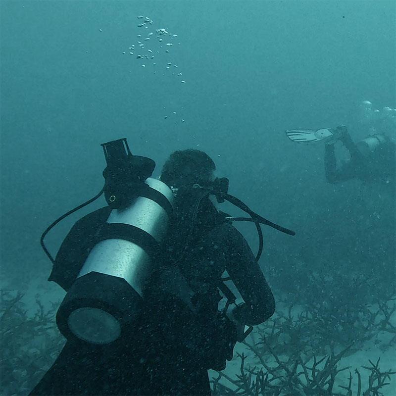 Two scuba divers underwater exploring near coral reefs with bubbles rising above them.