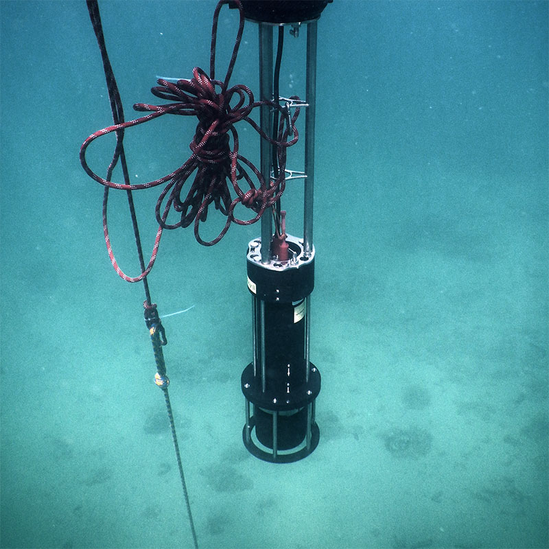 Underwater view of a cylindrical marine instrument suspended by cables with a coiled red rope attached, near the ocean floor.