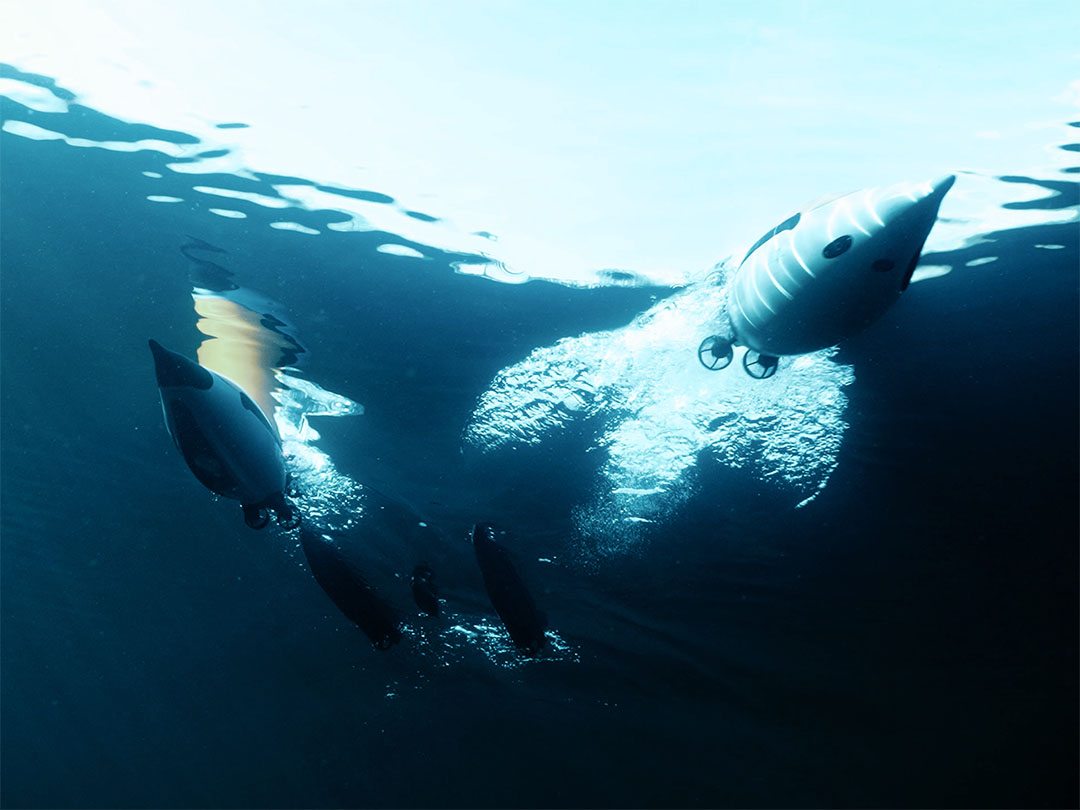 Underwater view of four small white and black underwater drones or robotic submersibles releasing bubbles as they move near the water surface.