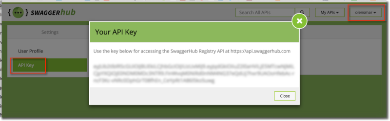 An example of the Swagger UI interface showing API key authorization