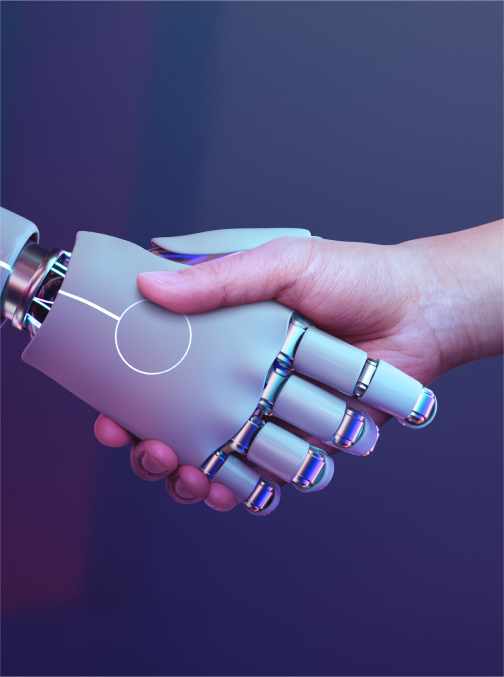 Stiddle Analytics Dashboard