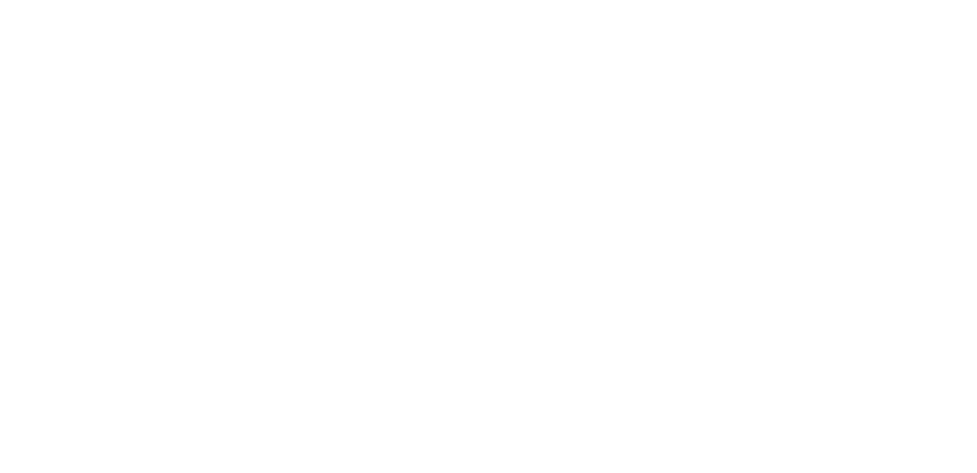 Alastaro Driving Experience