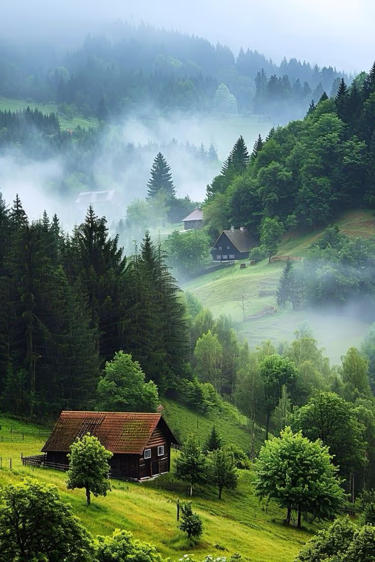 Foggy green hillside with pine trees and multiple wooden houses nestled among the trees.