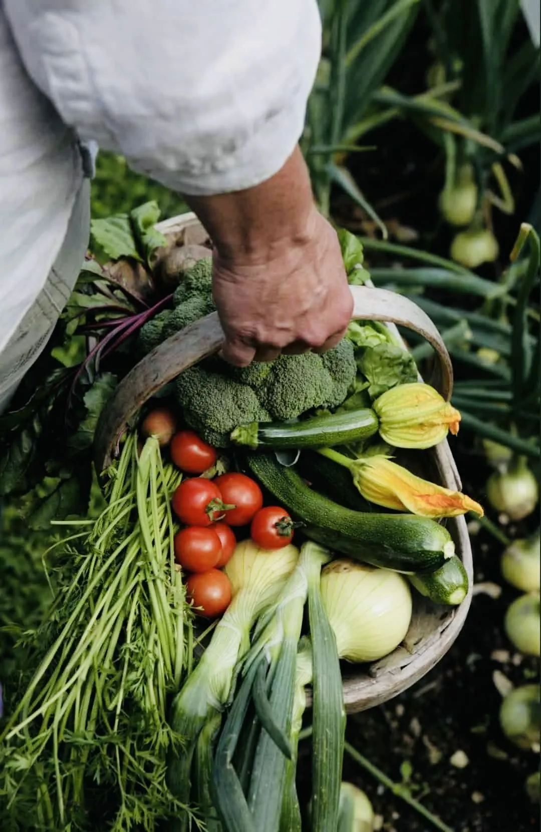 Hand holding a basket filled with fresh vegetables including tomatoes, broccoli, carrots, zucchini, and onions.