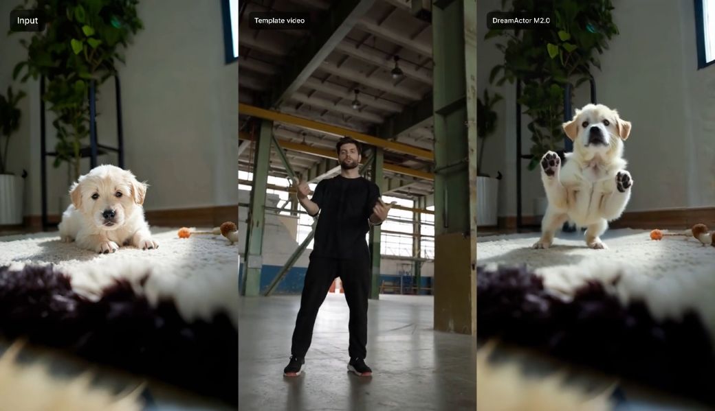 dreamactor m2 vs kling 2.6