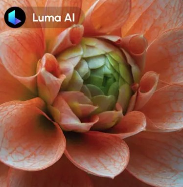 image to video generator