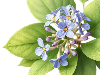 AI generated pink flower in botanical style