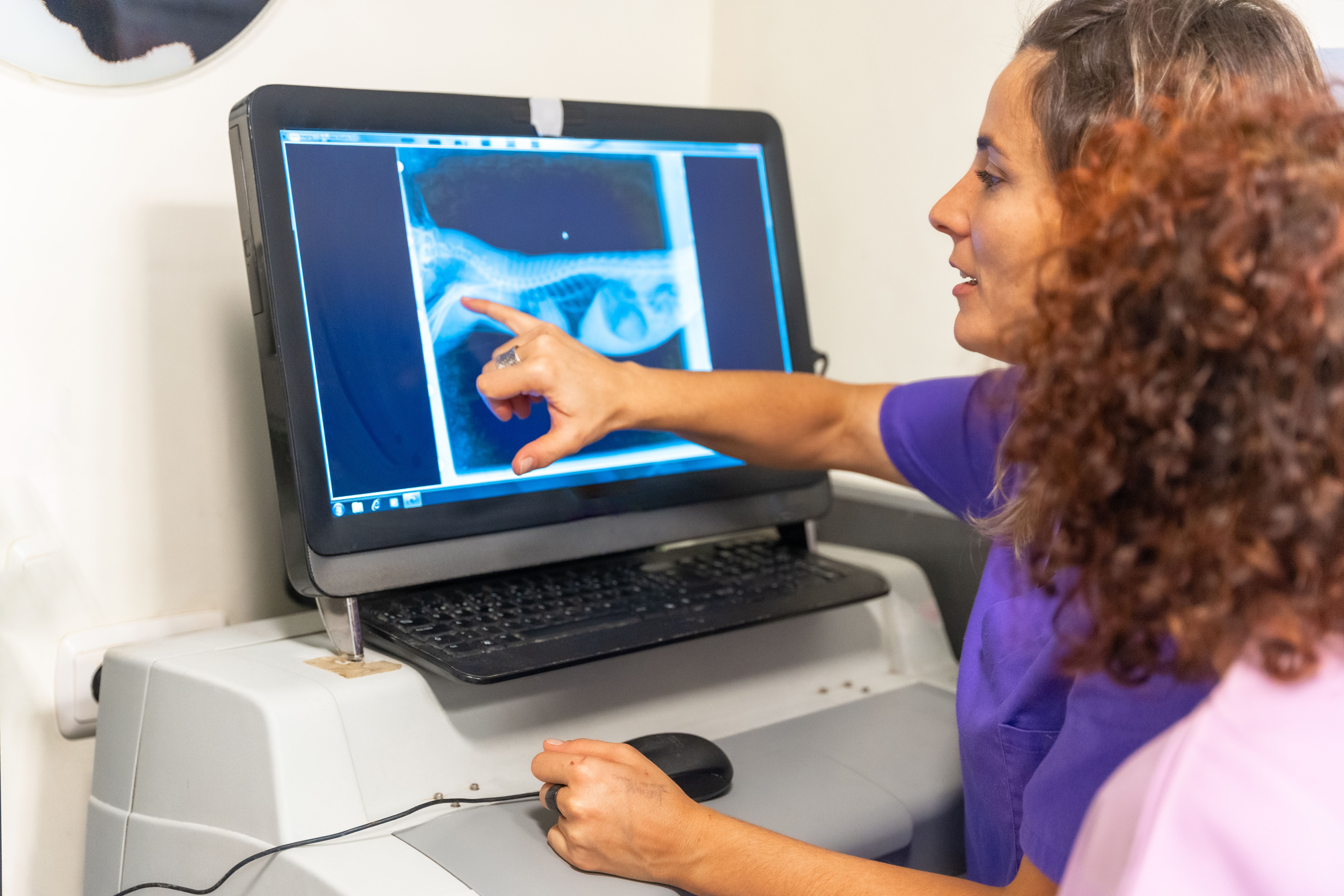 Medical professional examining x-ray image on computer screen