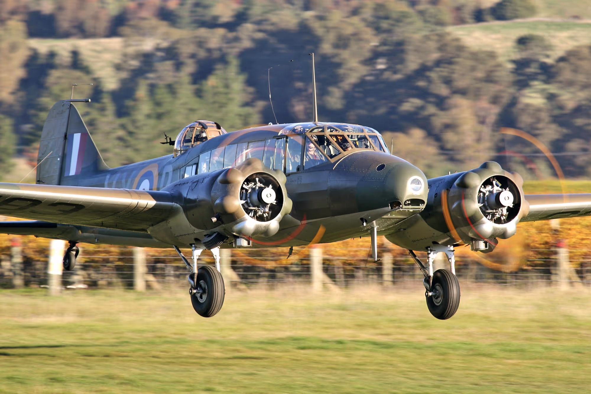 A vintage twin-engine aircraft landing with propellers spinning and blurred background.