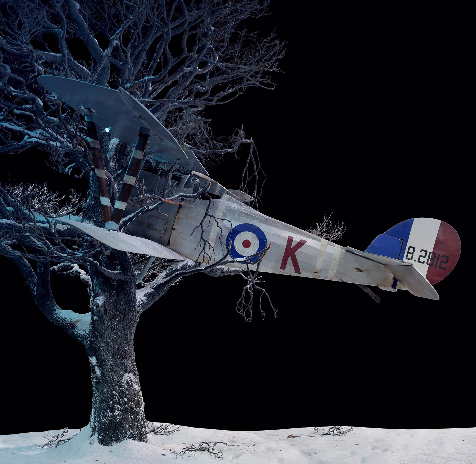 A vintage airplane entangled in bare tree branches against a dark background.