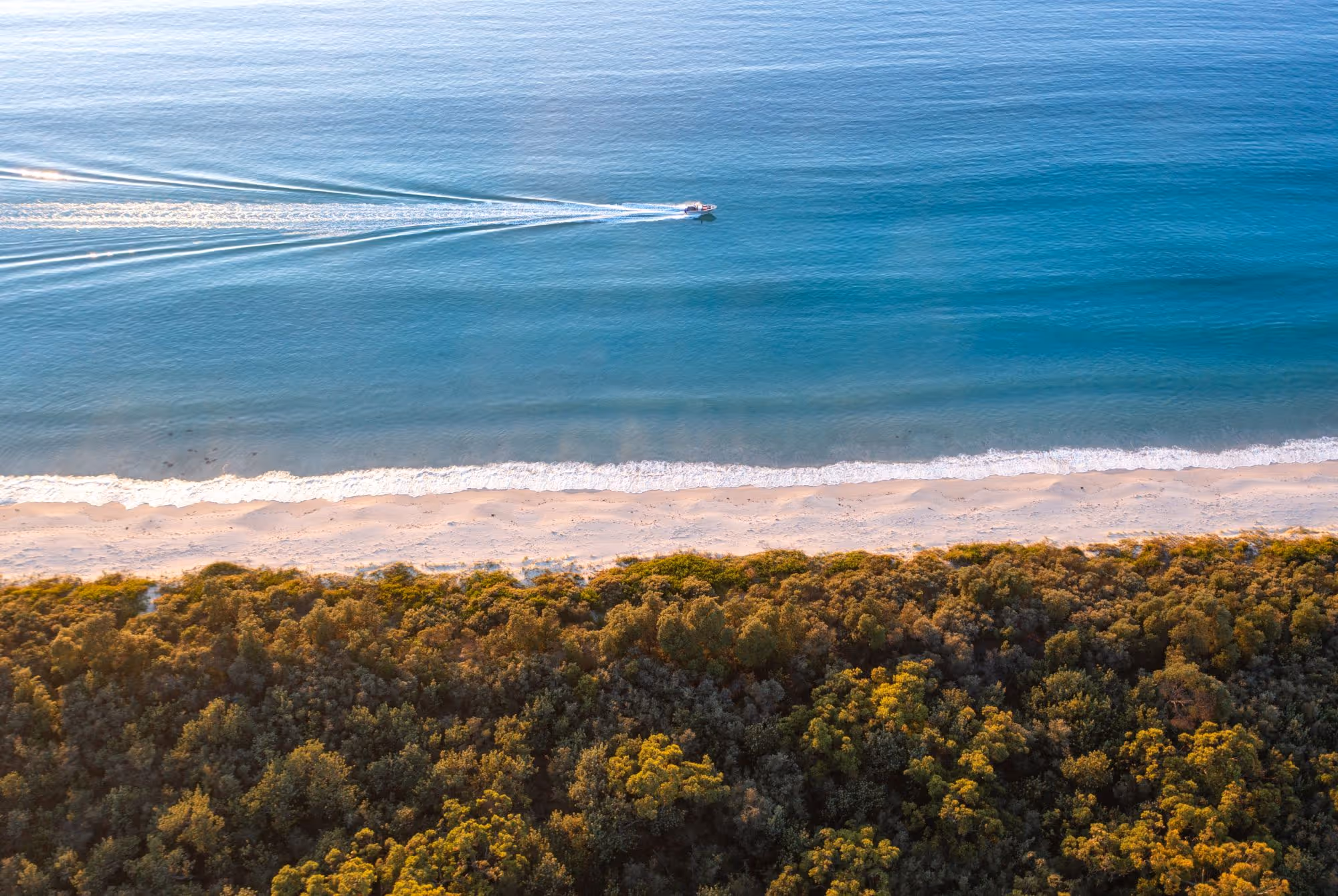 Aerial view of a boat leaving white trails in blue ocean water near a sandy beach bordered by dense green forest.