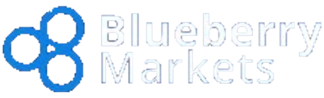 BlueBerry Markets Logo
