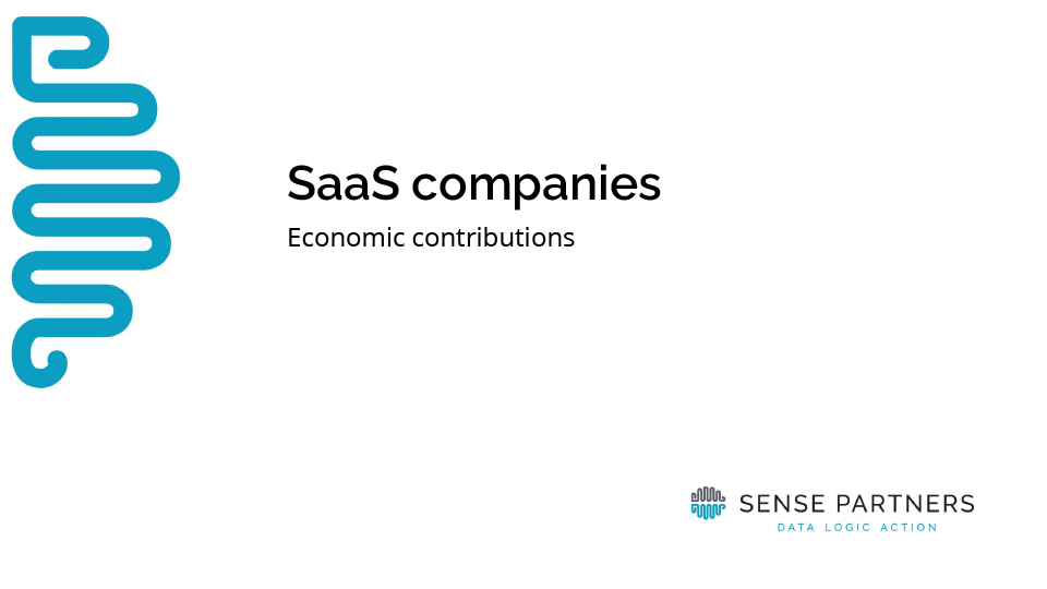 Sense Partners report