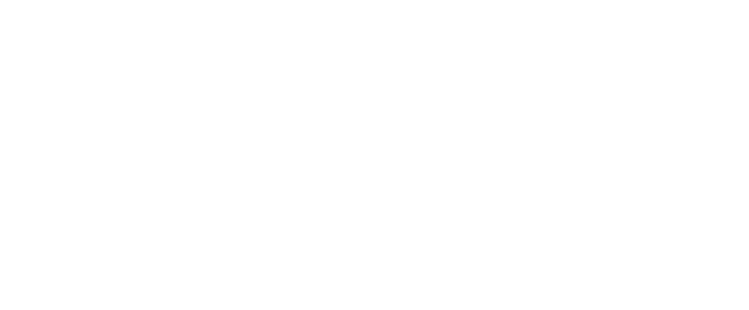 Ping
