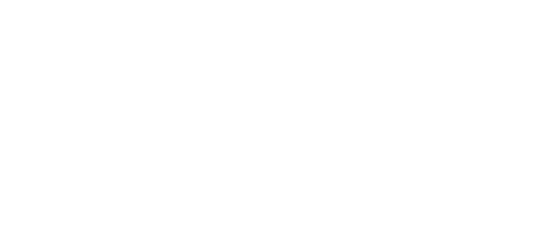 Mizuno