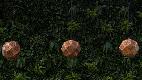 Service Details Image