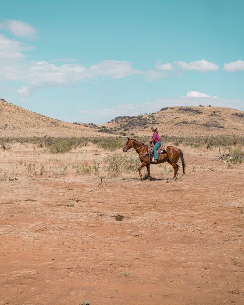 Service Details Image